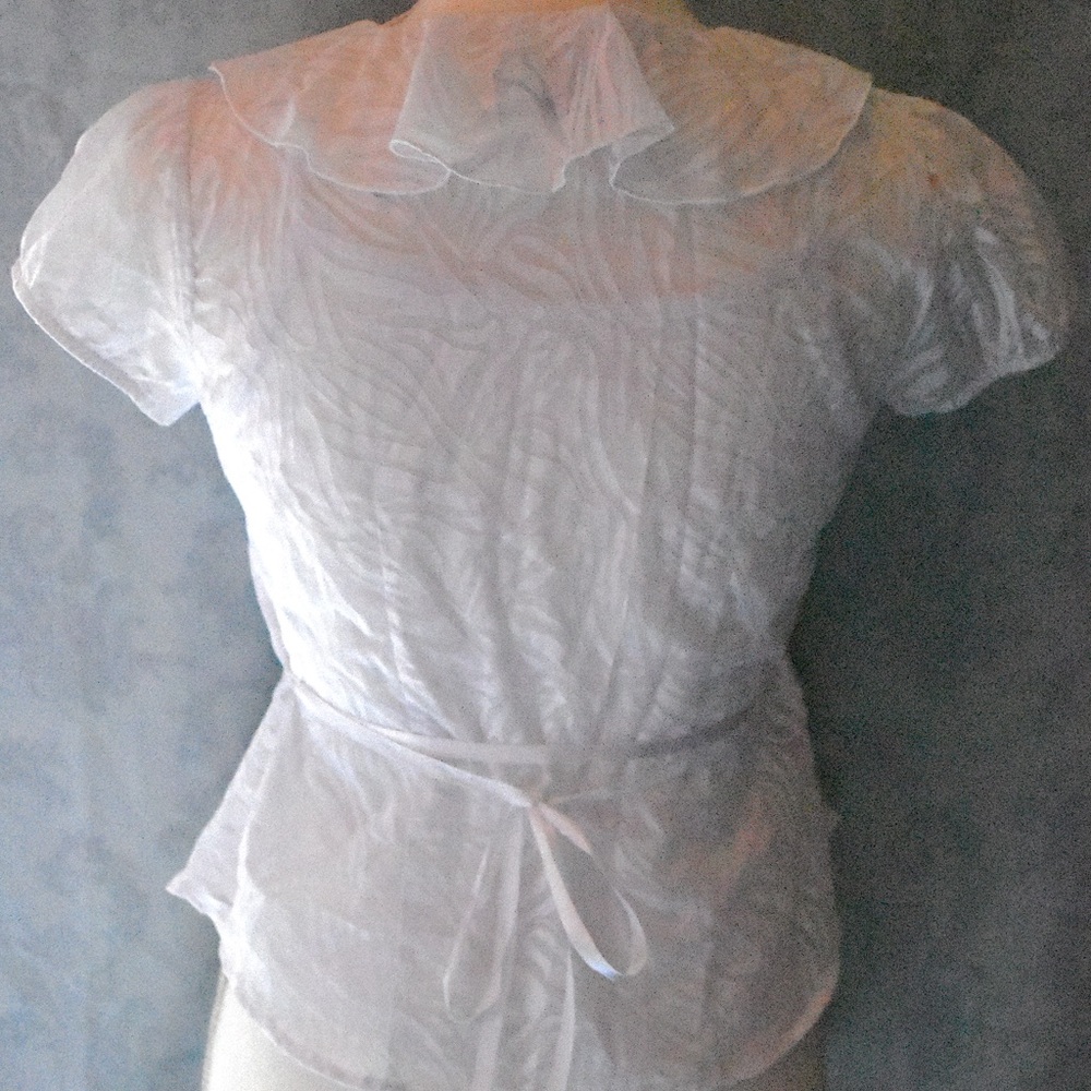 Zebra Patterned Ruffle Blouse - Picture 2 of 3